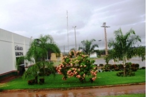 normal uniao planta