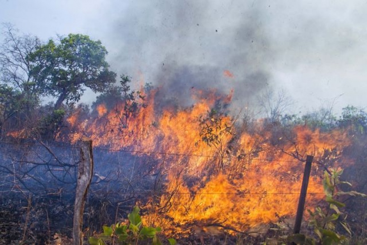 Vereadores alertam para tempo seco e o perigo das queimadas